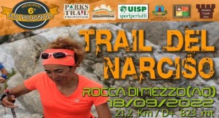 trail del narciso
