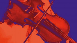 violinista