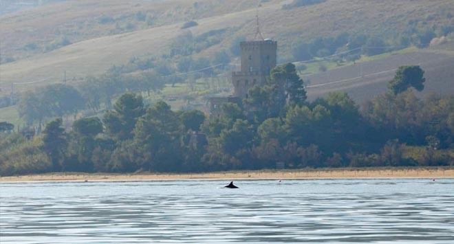 foto di bruno mariani Cerrano