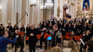 concerto delle palme