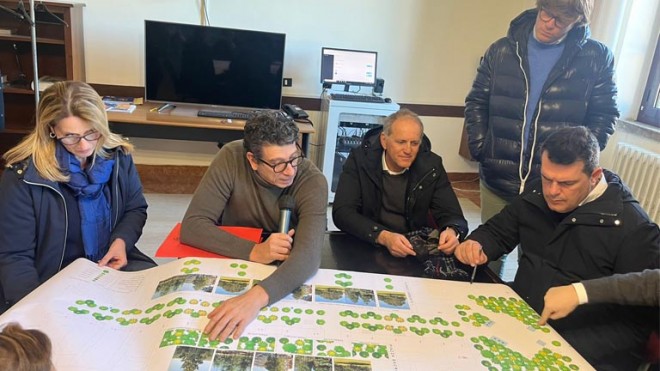 petrelli e alberi sacro cuore