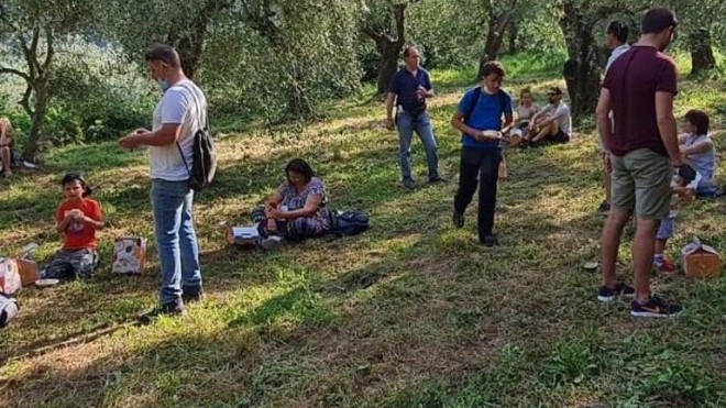 merenda tra gli ulivi