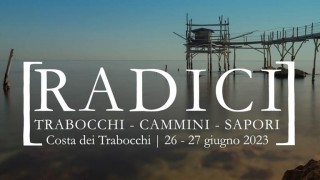 radici