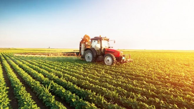 impresa agricola