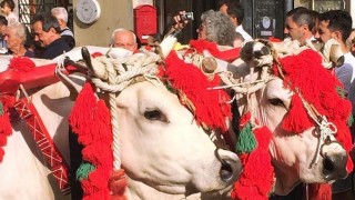 Ferragosto Atriano