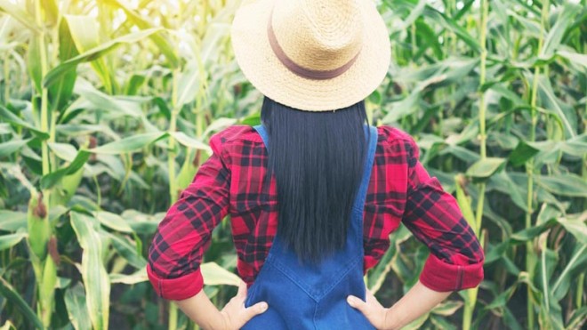 donne e agricoltura