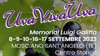 festa uva e vino