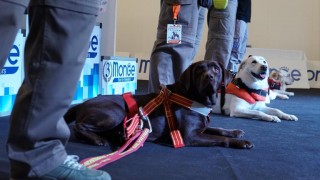 quattrozampexpo pescara