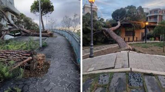 alberi caduti a silvi e vasto