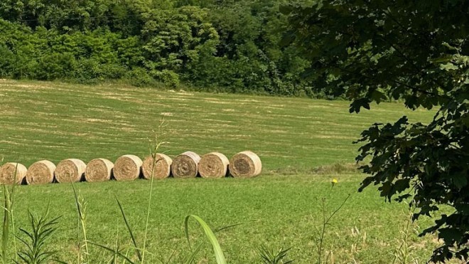 terreni agricoli e imu