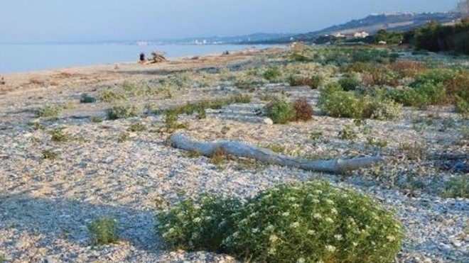 Un litorale da custodire a Pineto