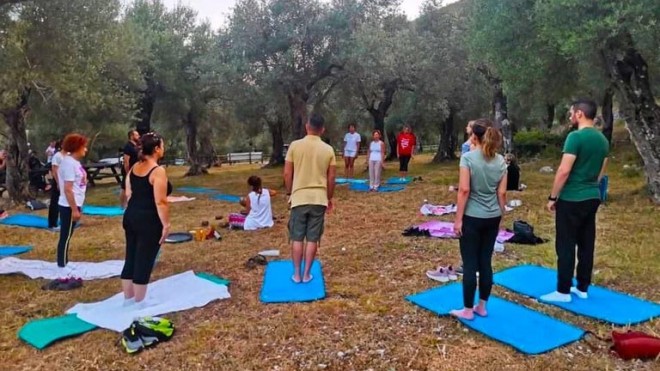Yoga nell'oliveta