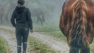 transumanza con cavallo e Sdijuno