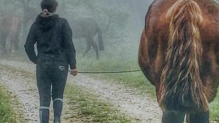 transumanza con cavallo e Sdijuno