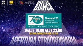 notte bianca
