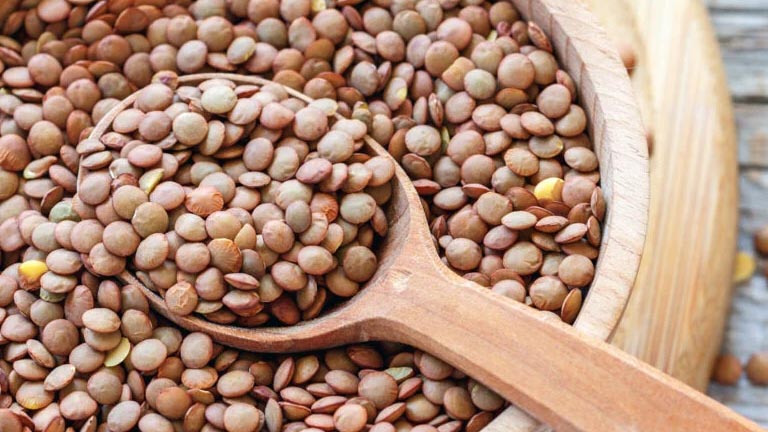 lenticchie