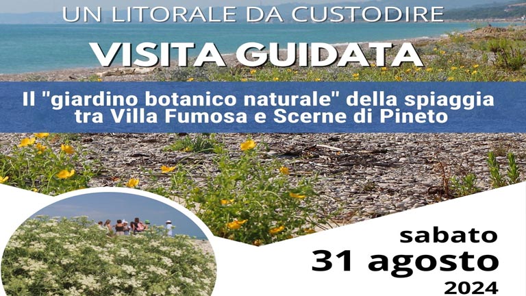 passeggiata sul litorale