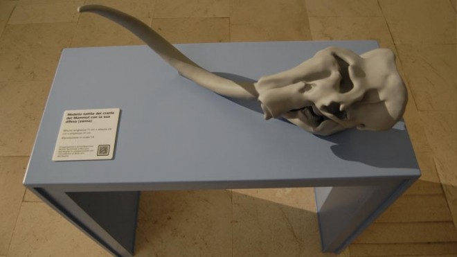 modelli tattili 3 D del Mammut