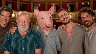 Il medico dei maiali