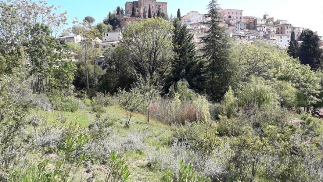 Parco Lauretum.