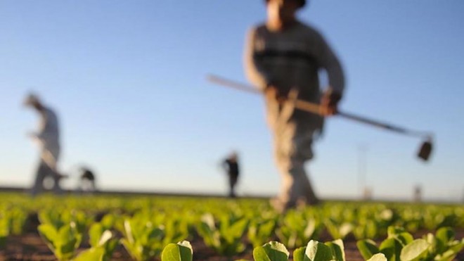 agricoltori