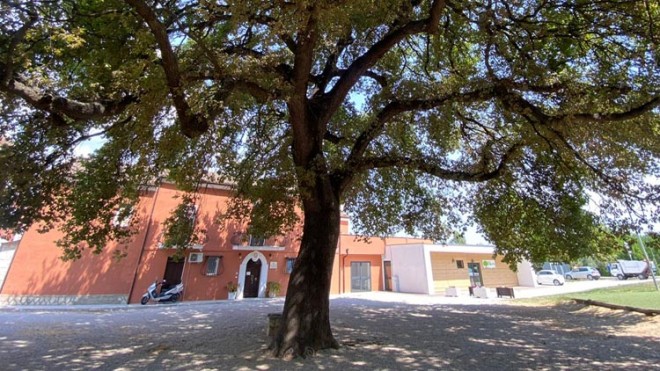 area asilo a manoppello