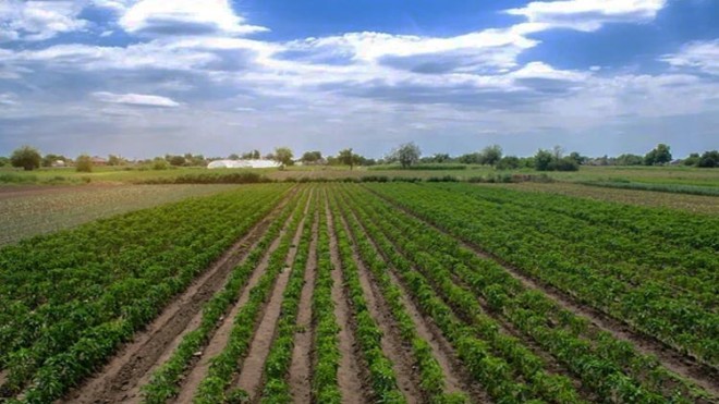 Agricoltura