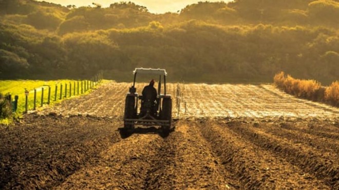 agricoltura