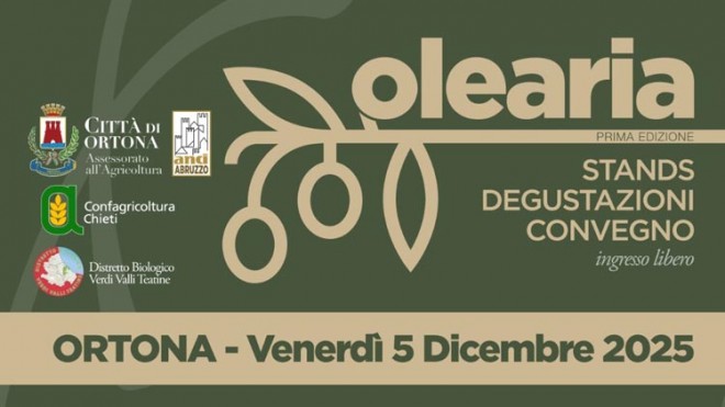 olearia