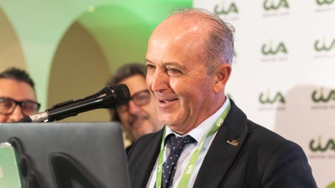 domenico bomba