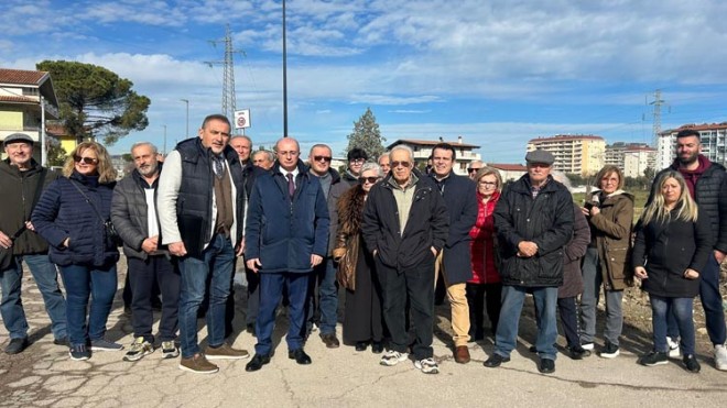pettinari e gruppo