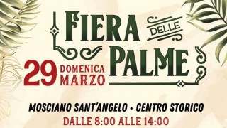 fiera delle palme
