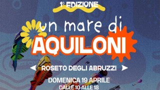 un mare di aquiloni