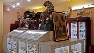 Teca espositiva Museo Universitario d'Annunzio
