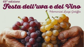 festa dell'uva e vino