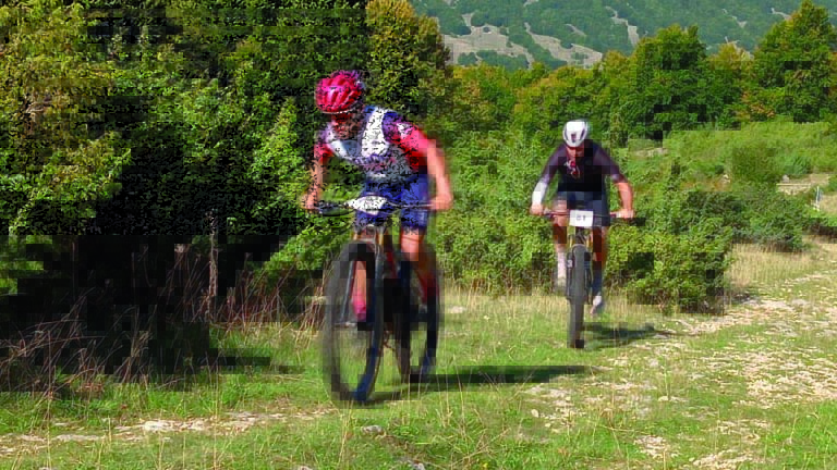 mountain bike