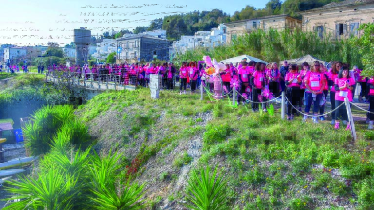 LA PITTAROSSO PINK PARADE