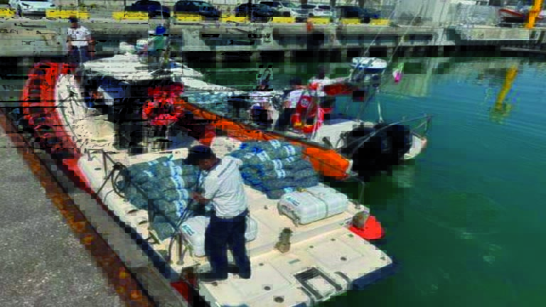 controlli attività di pesca