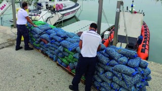 sequestro vongole
